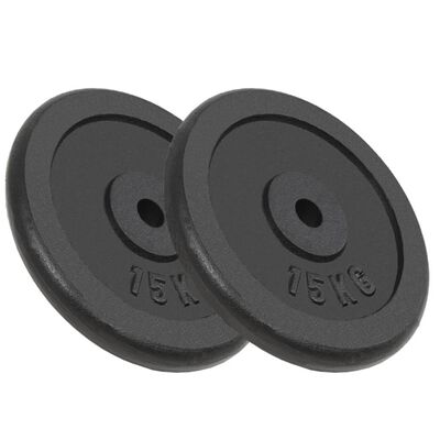FASA Halterschijven 2X15KG