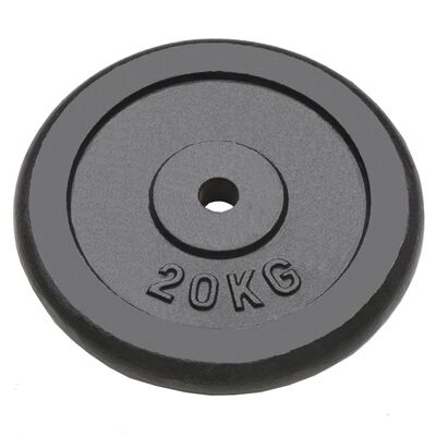 FASA Halterschijven 2x20KG